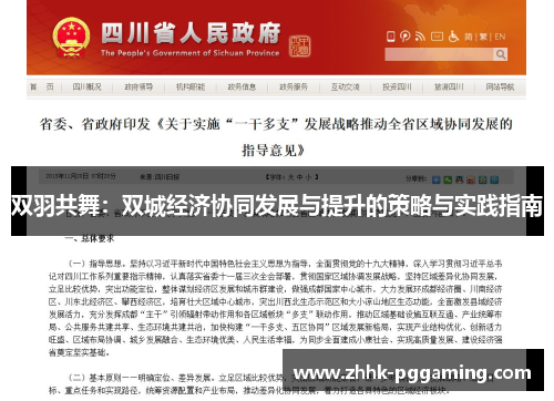 双羽共舞：双城经济协同发展与提升的策略与实践指南