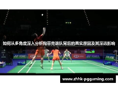 如何从多角度深入分析陶菲克退队背后的真实原因及其深远影响