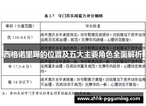 西格诺里踢的位置及五大主要角色全面解析