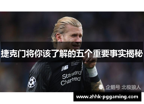 捷克门将你该了解的五个重要事实揭秘